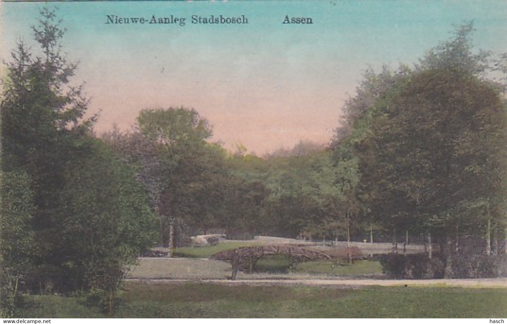 477016Assen, Nieuwe Aanleg Stadsbosch. – 1917 - Assen