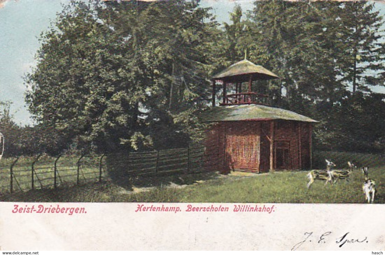 477040Zeist Driebergen, Hertenkamp Beerschoten Willinkshof. – 1907.(zie Hoeken En Randen) - Zeist