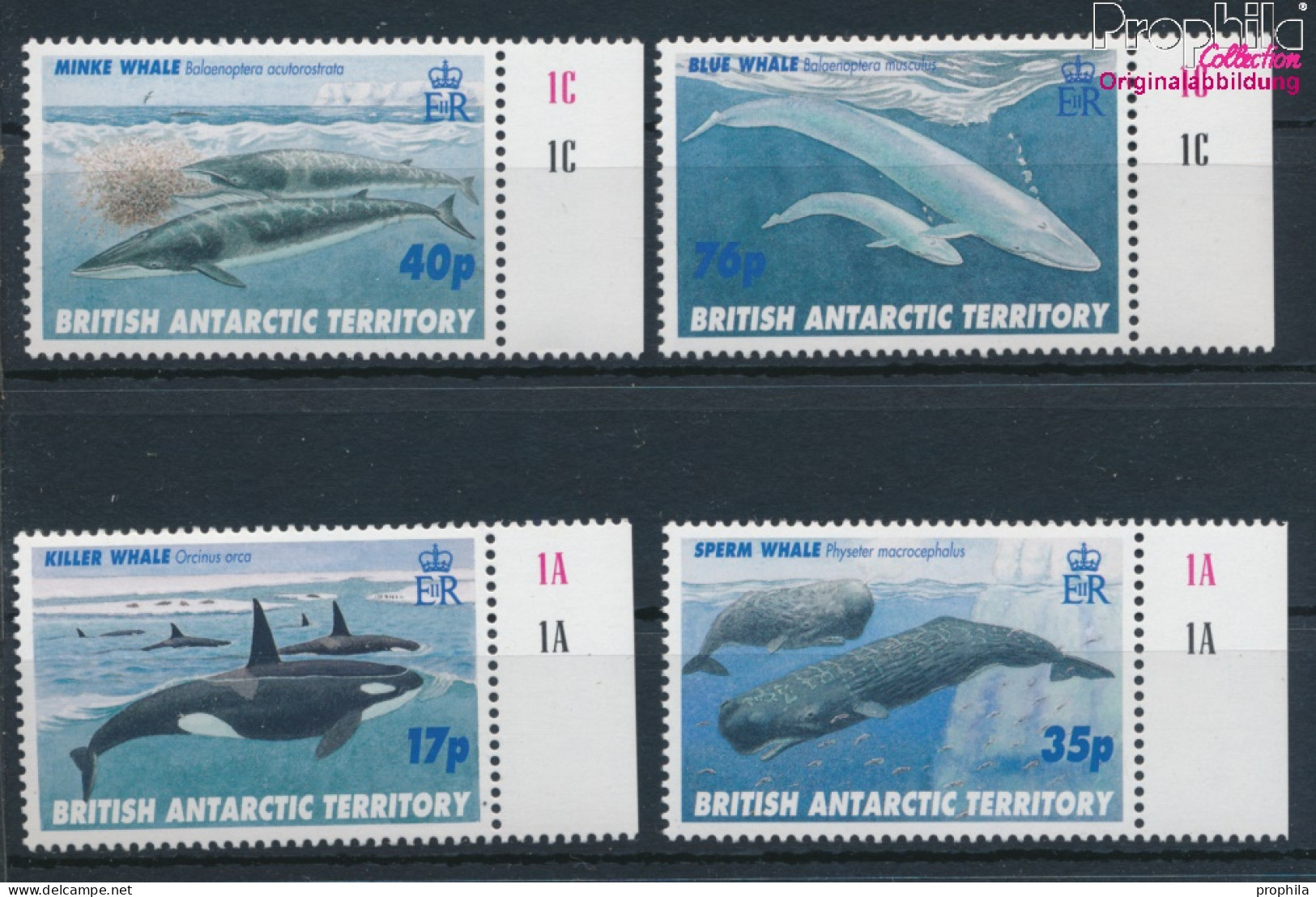 Britische Gebiete Antarktis 250-253 (kompl.Ausg.) Postfrisch 1996 Wale (10331994 - Neufs
