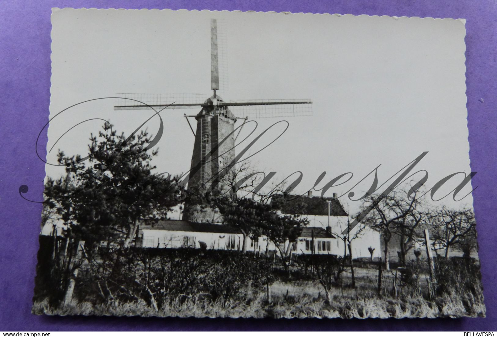 Snellegem Windmolen  / Uitg  Verschaeve Druk WN Stekene/moulin A Vent - Jabbeke