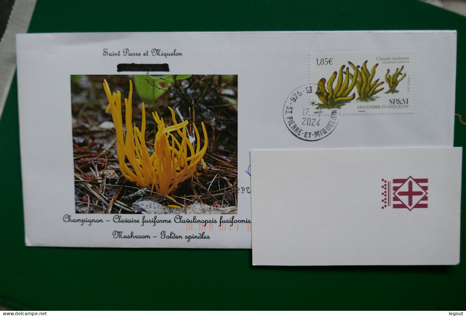 COVER SAINT PIERRE ET MIQUELON/SPM 2024  CHAMPIGNON CLAVAIRE FUSIFORME - Ungebraucht