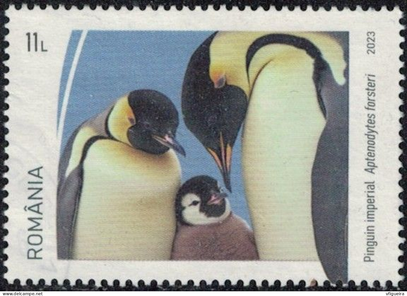 Roumanie 2023 Oblitéré Used Animal Oiseau Aptenodytes Forsteri Manchot Empereur Y&T RO 7003 SU - Used Stamps