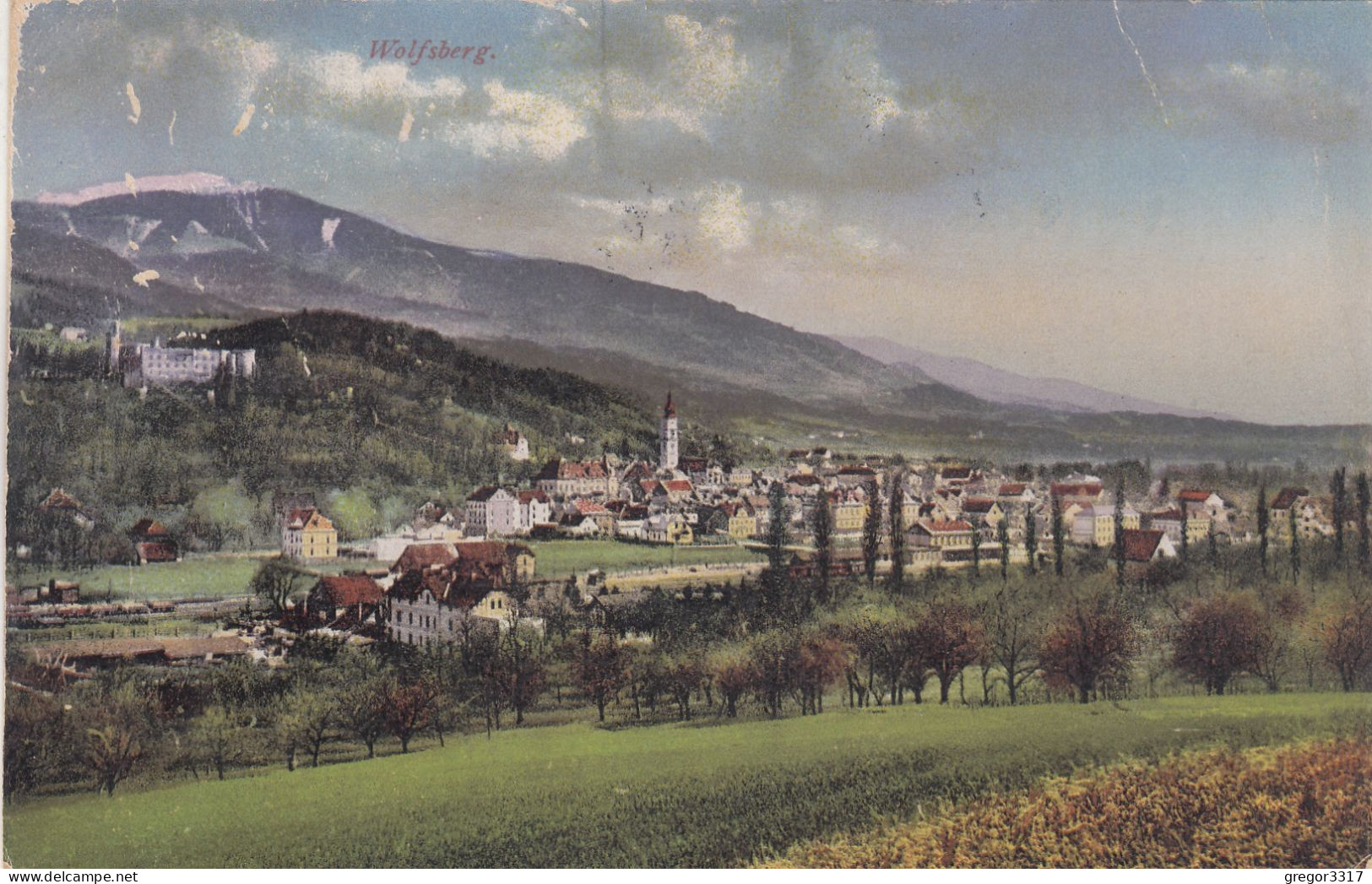 E4876) WOLFSBERG Im Lavanttal - Kärnten - Bäume Häuser Kirche Burg - 1923 - Wolfsberg