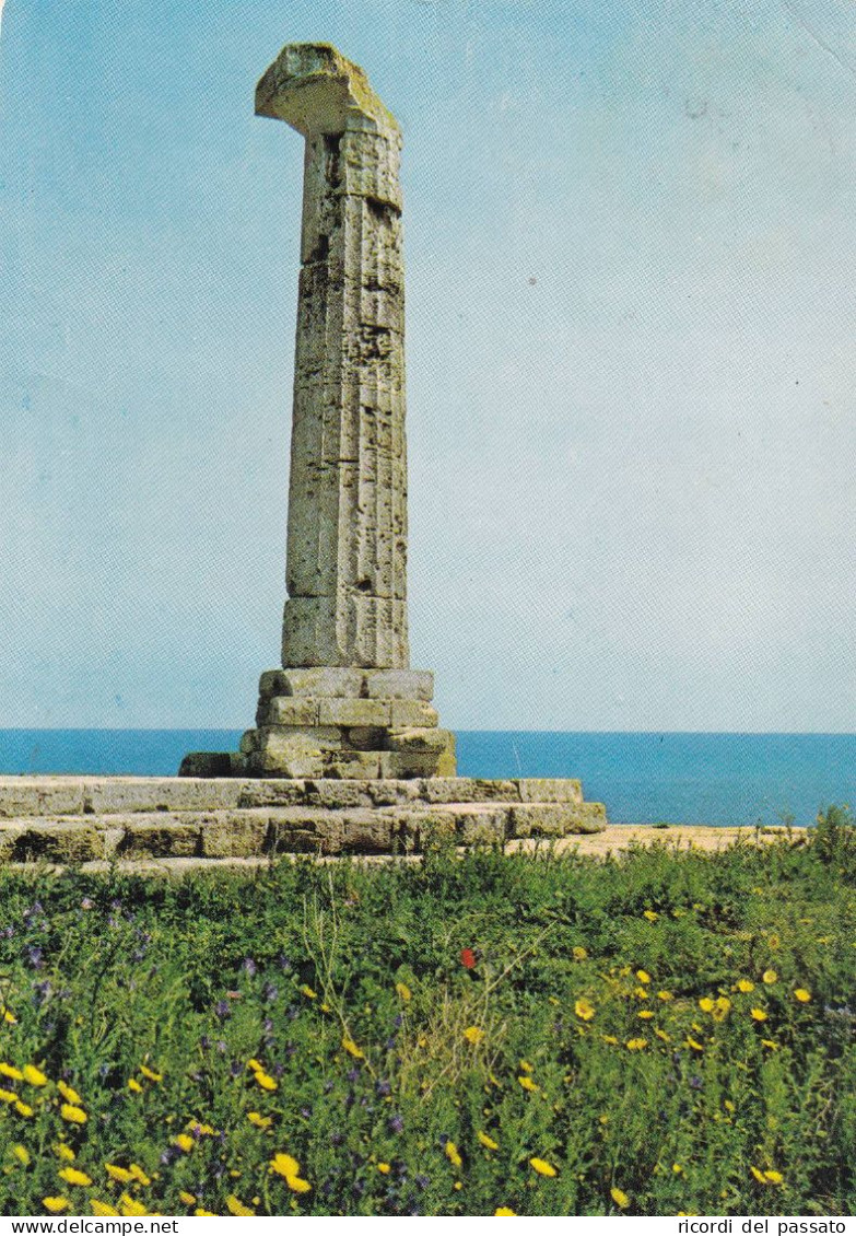 Cartolina Crotone - Colonna Del Tempio - Crotone