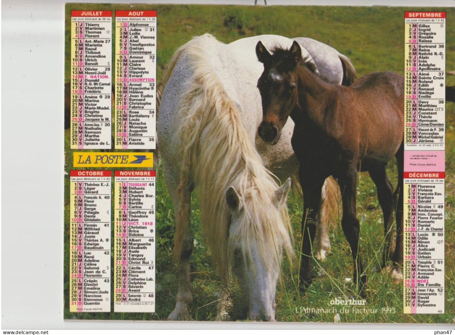 Almanach Du Facteur 1993, Chien Berger Des Alpes / "Jamais Bon Cheval Ne Devient Rosse" Jument Et Son Poulain OBERTHUR - Groot Formaat: 1991-00