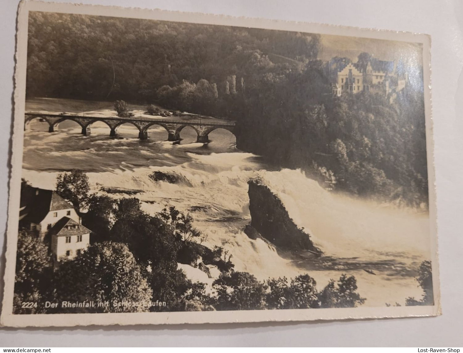 Der Rheinfall mit Schloss Laufen