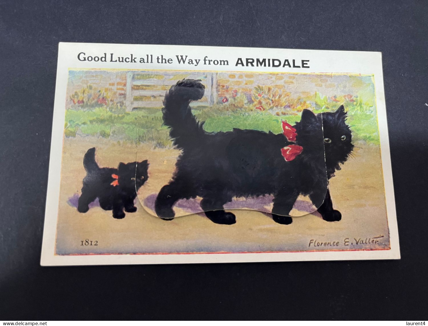 26-2-2-2024 (1 Y 16) Australia - Very Old (1940's ?) NSW - Armidale (dog) Novelty Postcard With "b/w Insert" - Sonstige & Ohne Zuordnung