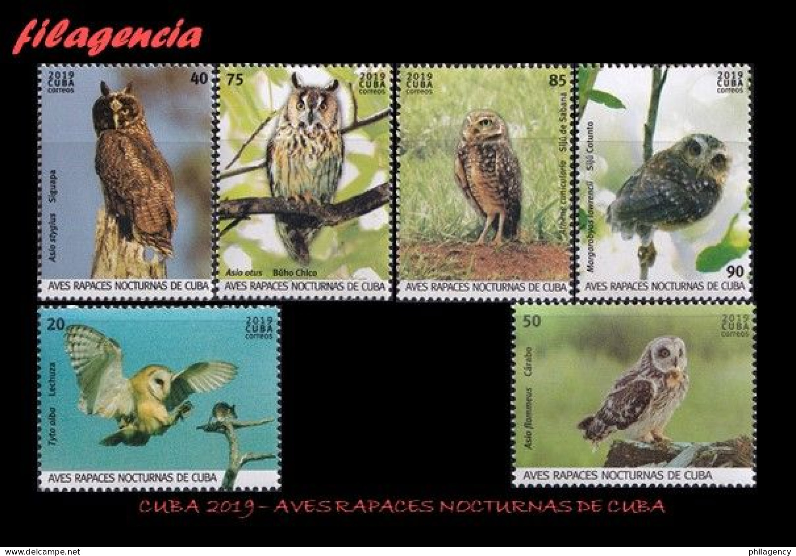 CUBA MINT. 2019-22 AVES RAPACES NOCTURNAS CUBANAS - Neufs