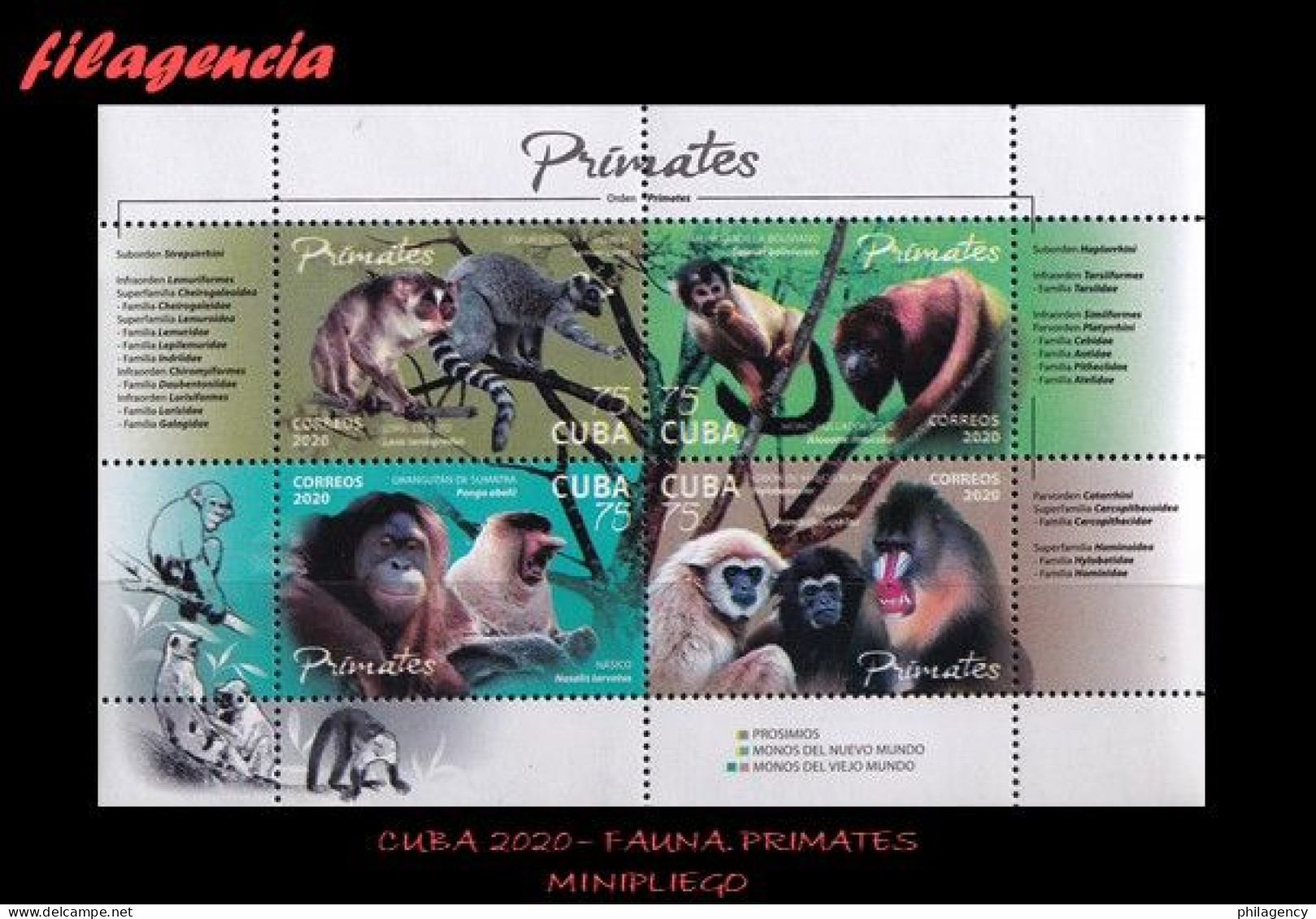 CUBA MINT. 2020-06 FAUNA. PRIMATES. HOJA BLOQUE - Ongebruikt