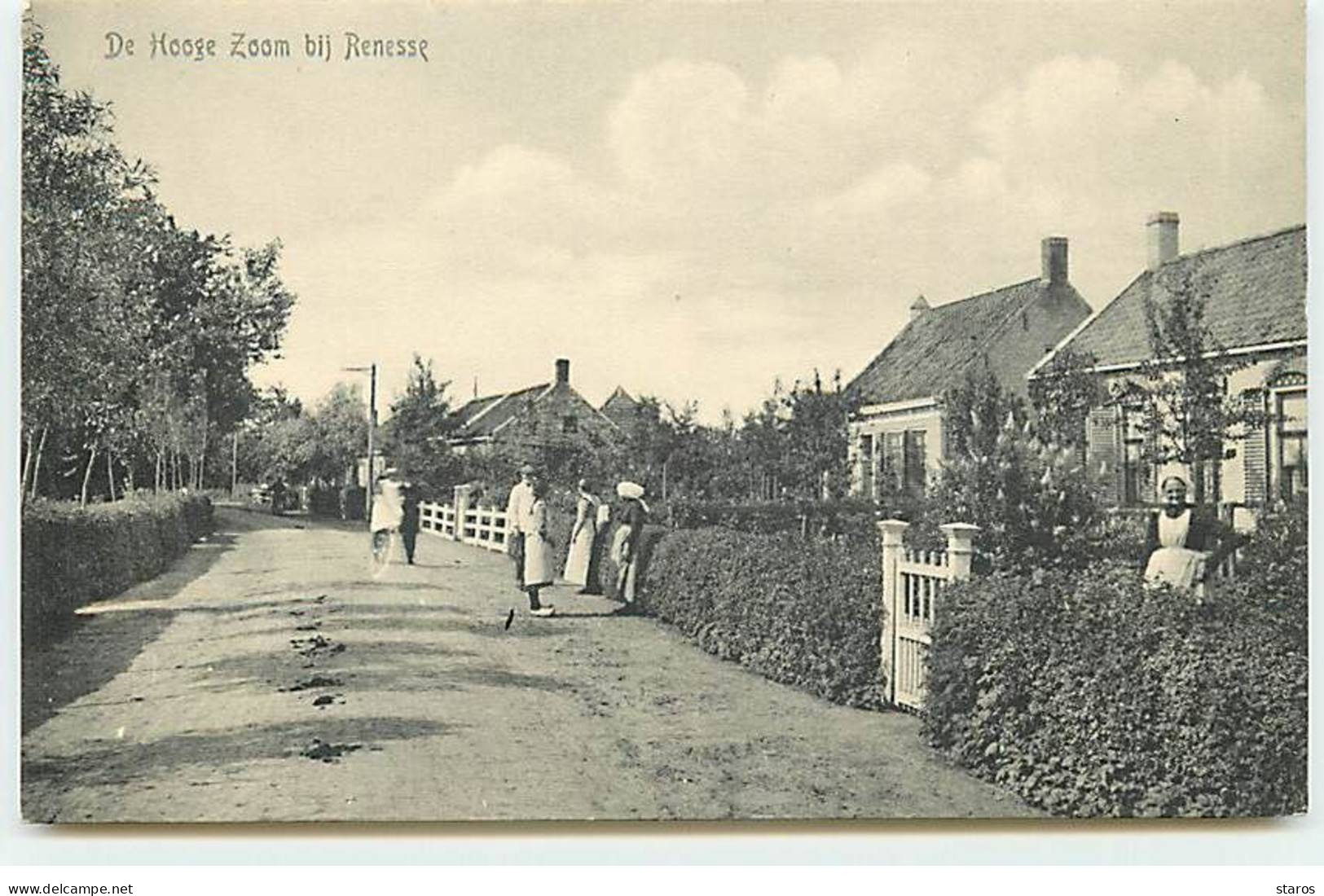 Pays-Bas - De Hooge Zoom Bij RENESSE - Renesse