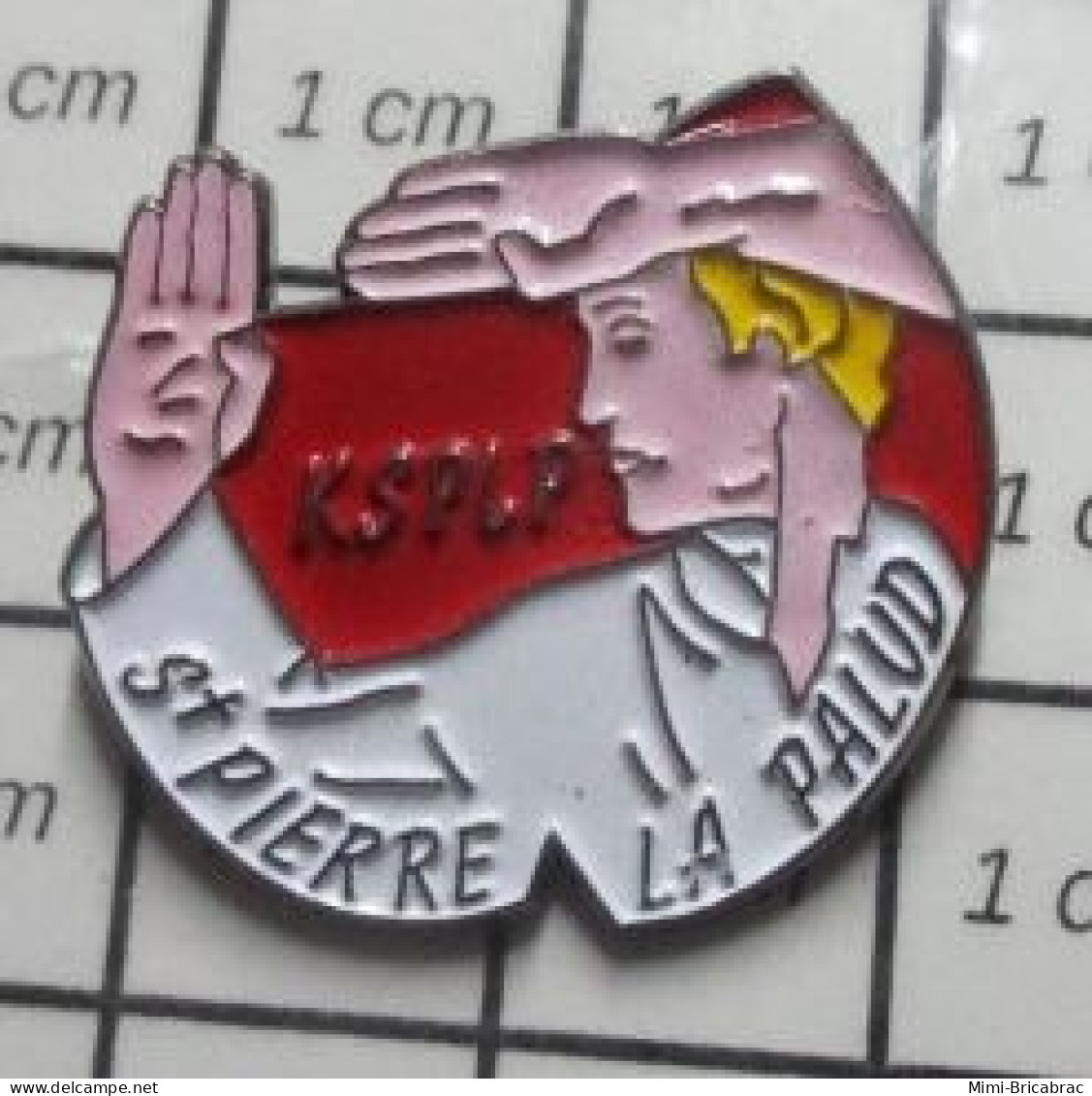 713H Pin's Pins / Beau Et Rare / SPORTS / CLUB KARATE KSPLP ST PIERRE LA PALUD D'isthme - Judo