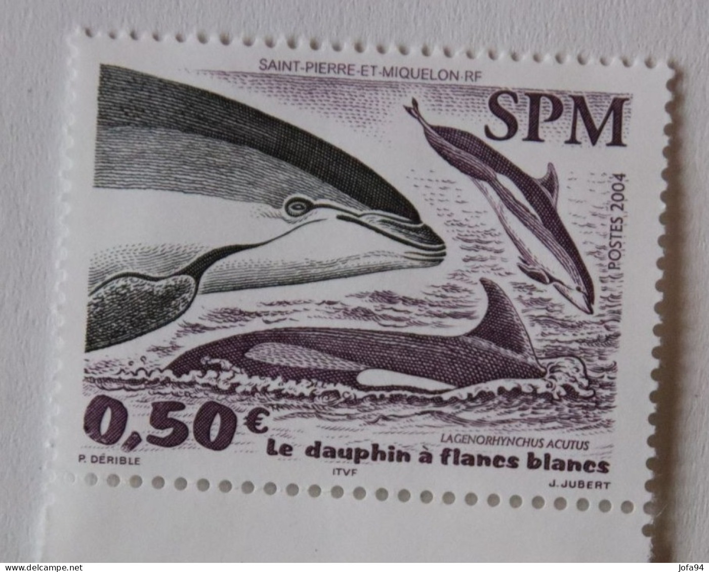 SPM 2004  Faune Marine Le Dauphin à Flancs Blancs  YT 812   Neufs - Ongebruikt