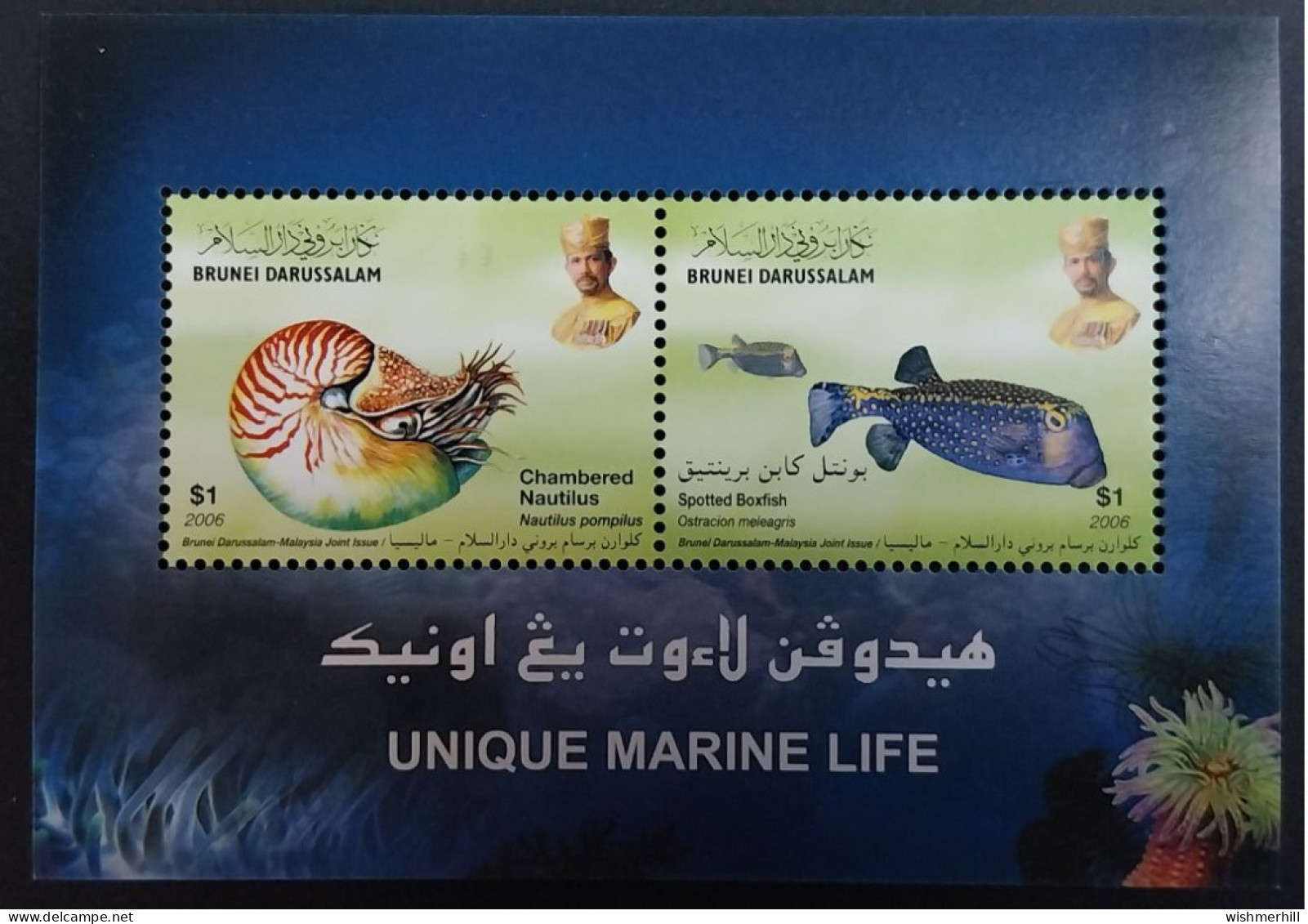 Coquillages Shells // Bloc Neuve ** MNH ; Brunei BF 30 (2007) Cote 4 € - Brunei (1984-...)