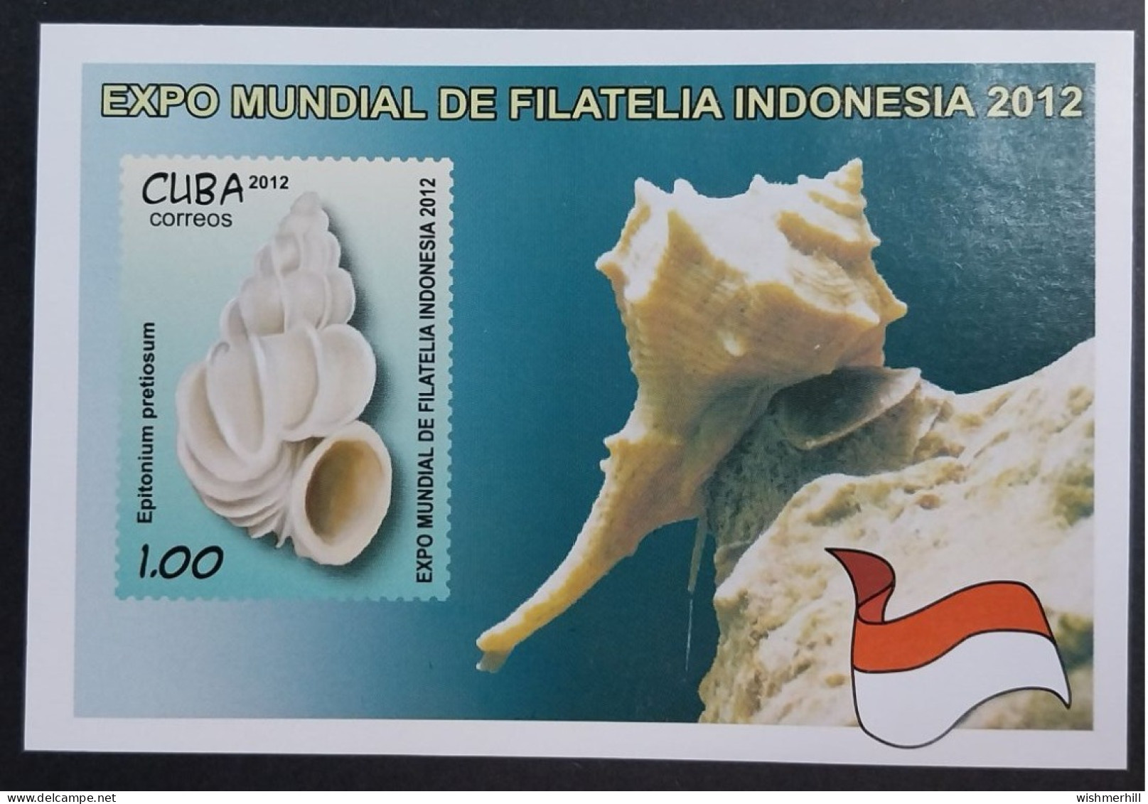 Coquillages Shells // Bloc Neuve ** MNH ; Cuba BF 289 (2012) Cote 3.50 € - Blocks & Kleinbögen