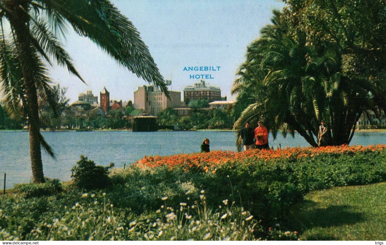 Orlando - Angebilt Hotel, Skyline Across Beautiful Lake Eola - Orlando