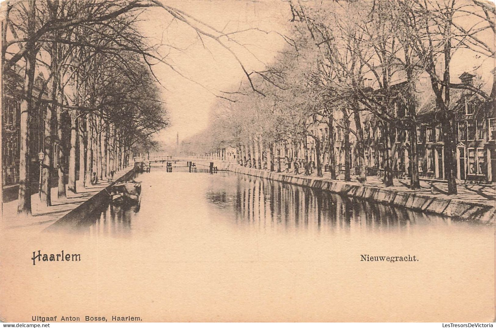 PAYS BAS - Haarlem - Nieuwegracht - Carte Postale Ancienne - Haarlem