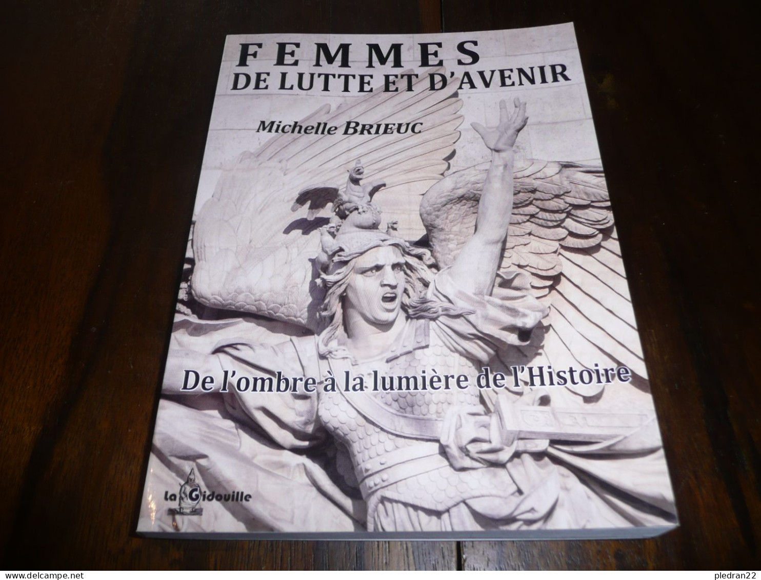 BRETAGNE MICHELLE BRIEUC FEMMES DE LUTTES ET D'AVENIR DE L'OMBRE A LA LUMIERE DE L'HISTOIRE 18 BIOGRAPHIES 2017 - Bretagne