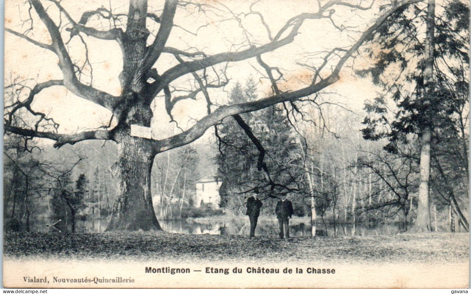 95 MONTLIGNON - Etang Du Chateau De La Chasse - Montlignon