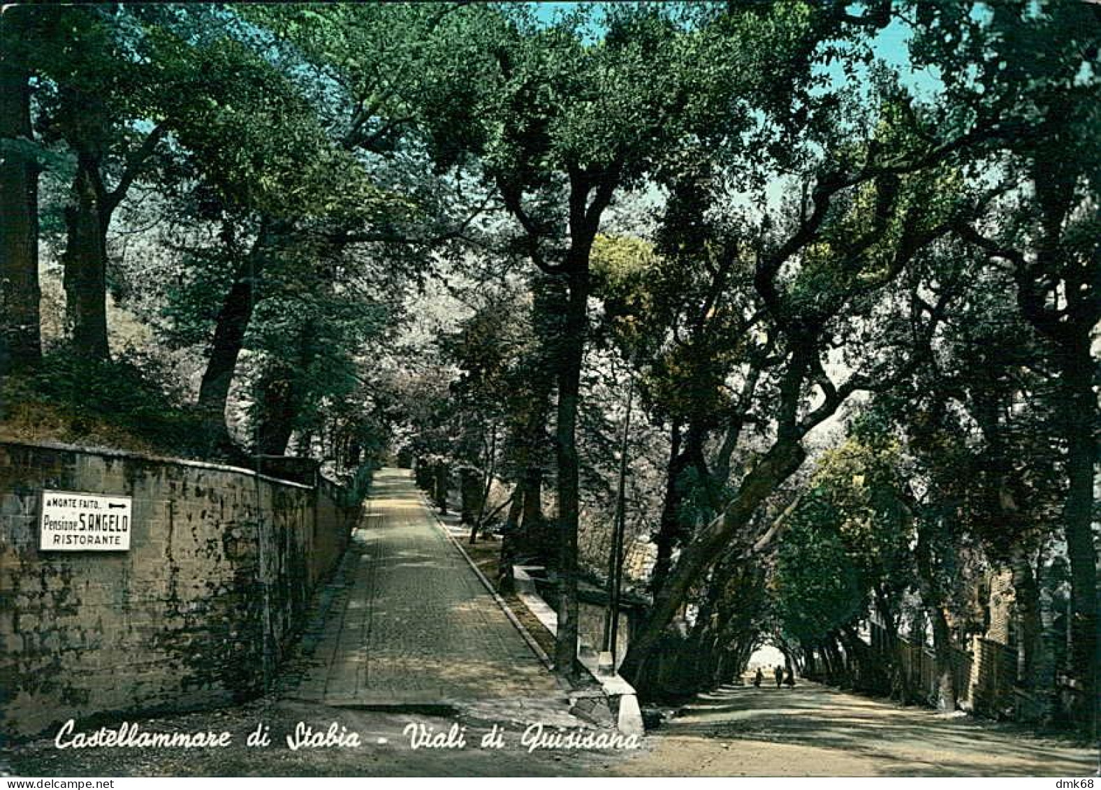 CASTELLAMMARE DI STABIA - VIALI DI QUISISANA - EDIZIONE FARFALLA - 1950s/60s (19863) - Castellammare Di Stabia