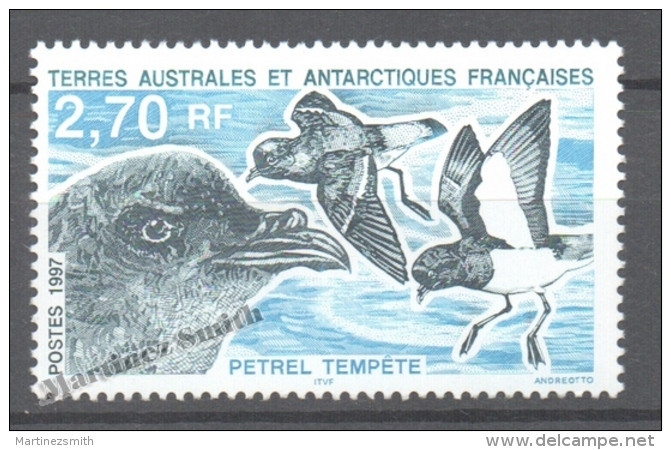 TAAF French Southern And Antarctic Territories 1997 Yvert 214, Antarctic Fauna - MNH - Ongebruikt