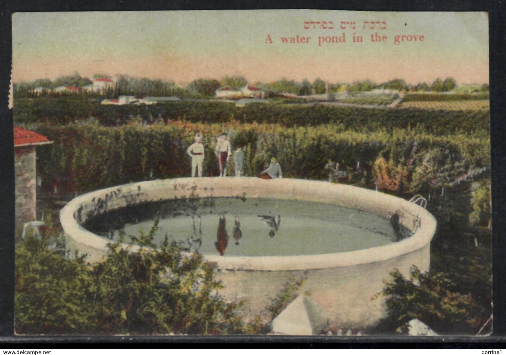 1941 Tiberia To Mikve Israel British Mandate Palestine Postcard - Ordmann - Autres & Non Classés