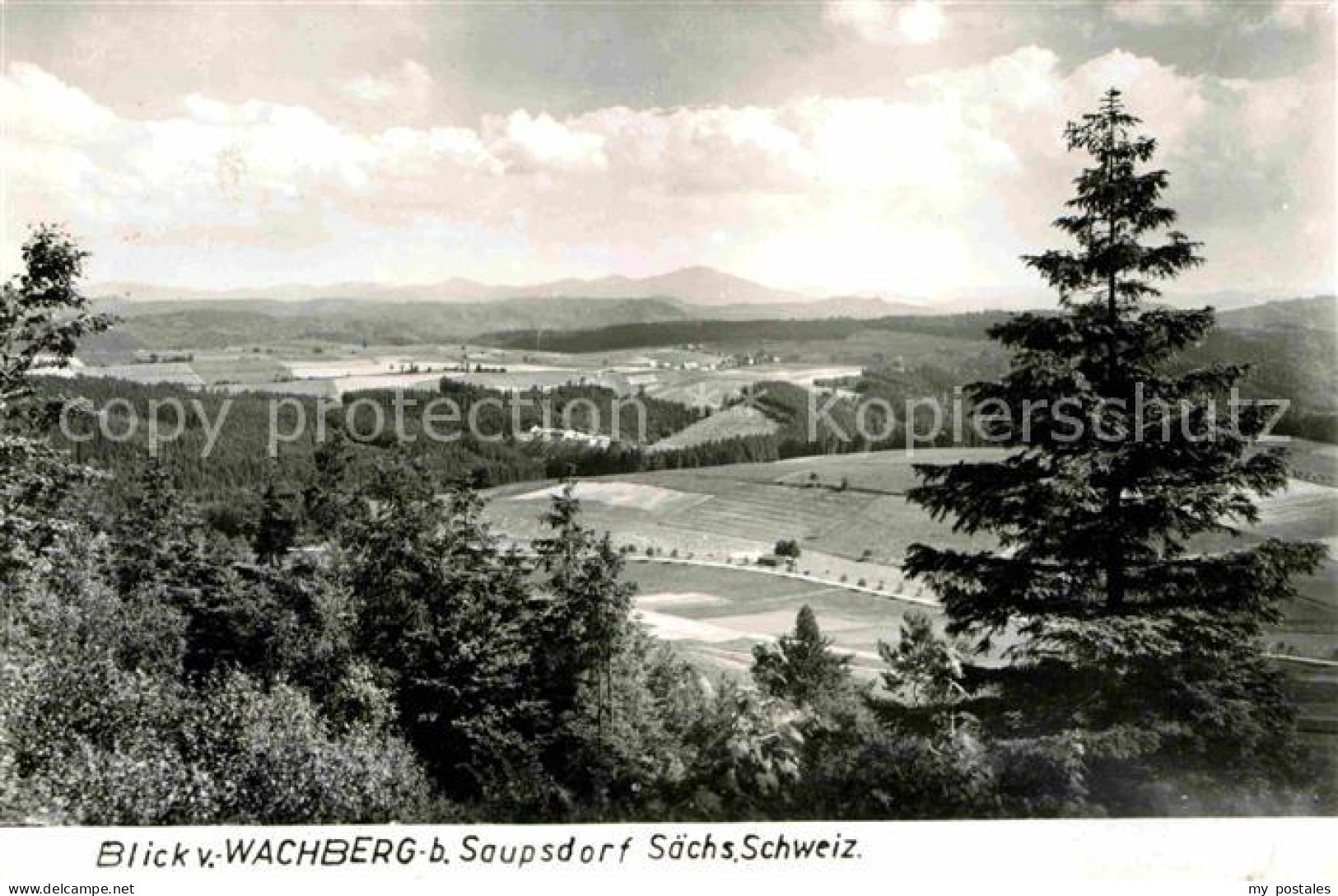 72643006 Saupsdorf Panorama Blick Vom Wachberg Kirnitzschtal - Kirnitzschtal