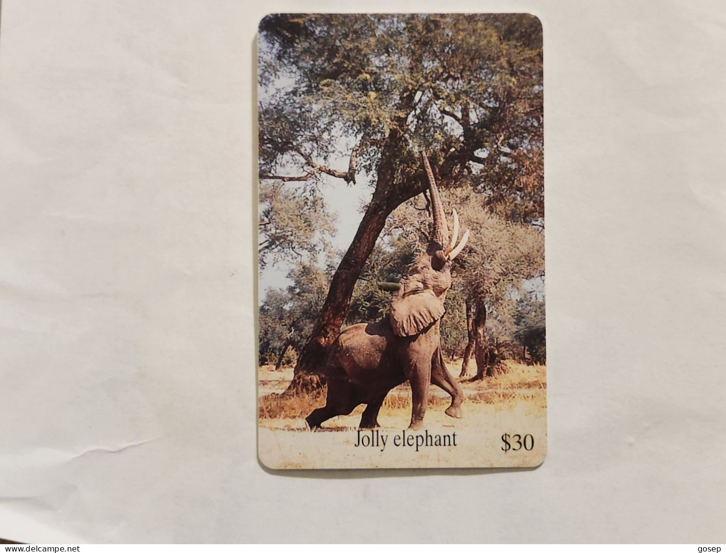 Zimbabwe-(ZIM-24)-Jolly Elephant-(74)-($30)-(1000-089574)-(1/12/2000)-used Card+1card Free - Zimbabwe