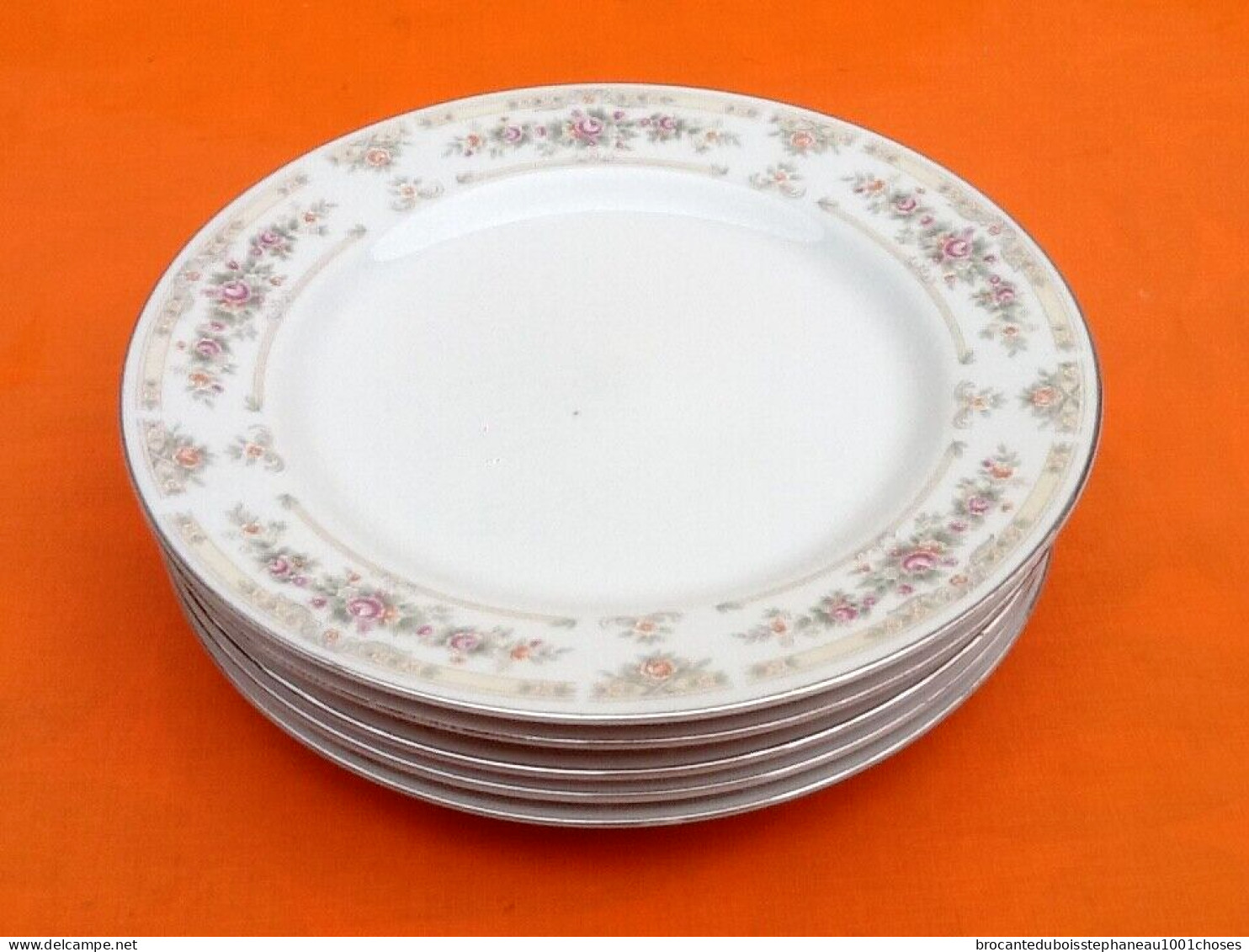 5 Grandes Assiettes   Porcelaine à Décor Floral - Altri & Non Classificati