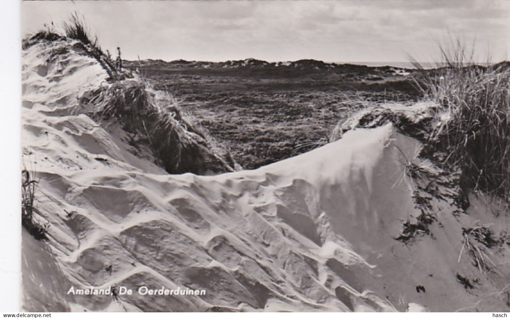 252731Ameland, De Oerderduinen.(FOTO KAART) - Ameland