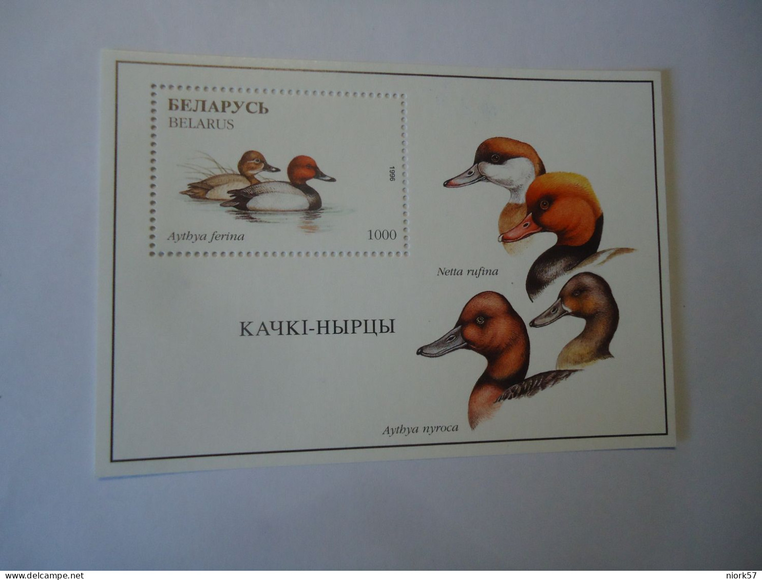 BELARUS   MNH  STAMPS SHEET  BIRDS BIRDS DUCKS - Canards