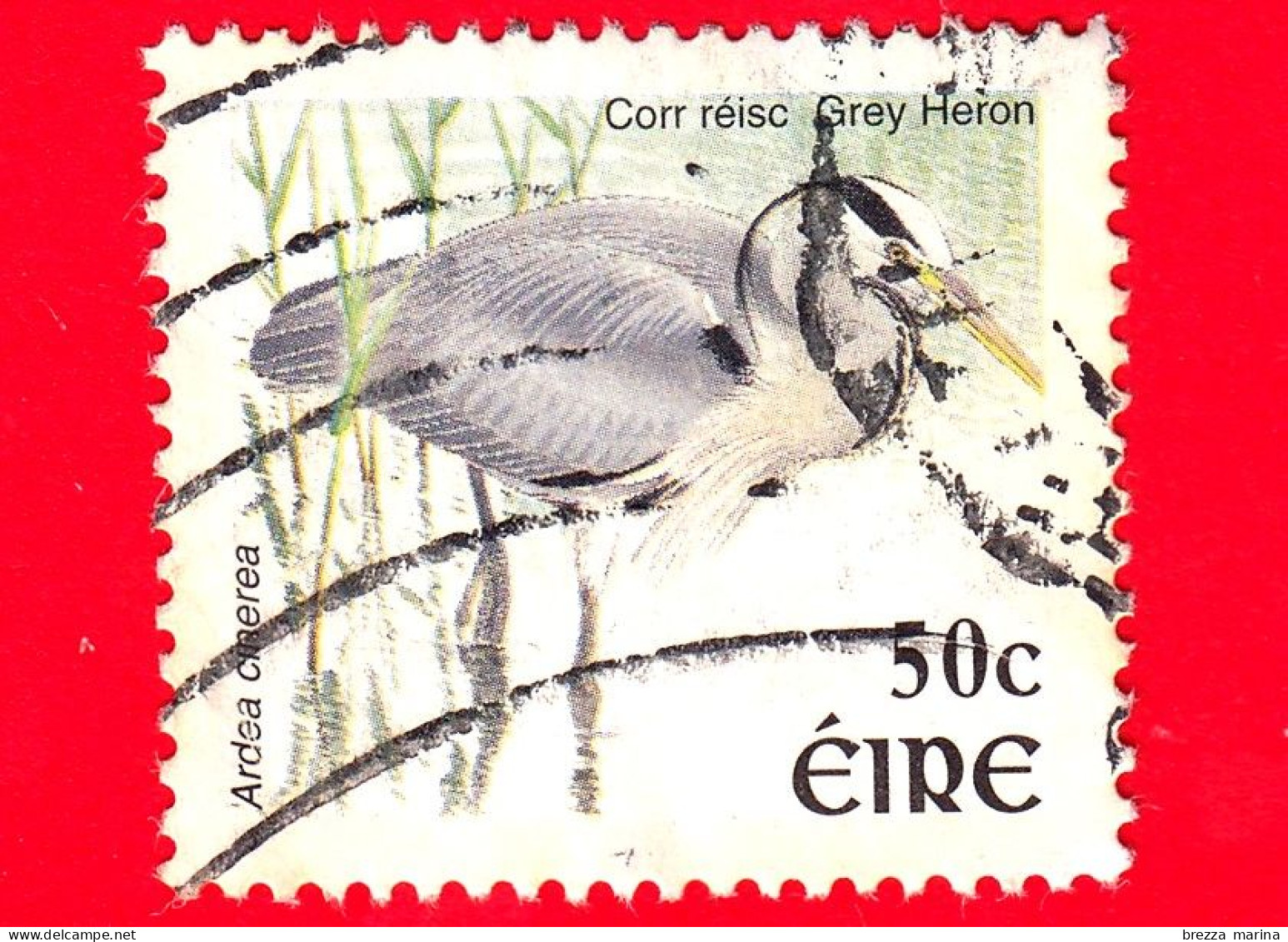 IRLANDA - EIRE - Usato - 2002 - Uccelli - Airone Cenerino (Ardea Cinerea) - 50 - Oblitérés