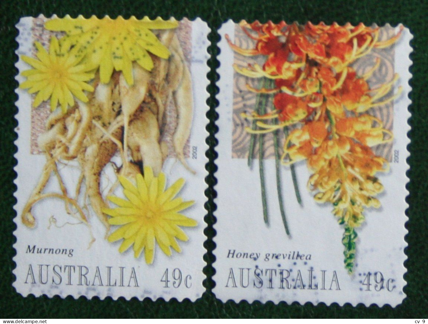 Forest Fruits Bush Tucker 2002 (Mi 2165 2168) Used Gebruikt Oblitere Australia Australien Australie - Used Stamps