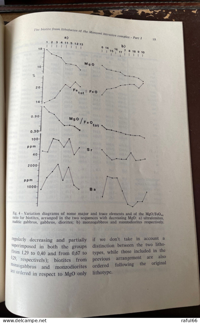 BONDI & Coll. BIOTITE MONZONI ROCK / ROCHE INTRUSIVE - GÉOLOGIE - FACIES - Otros & Sin Clasificación