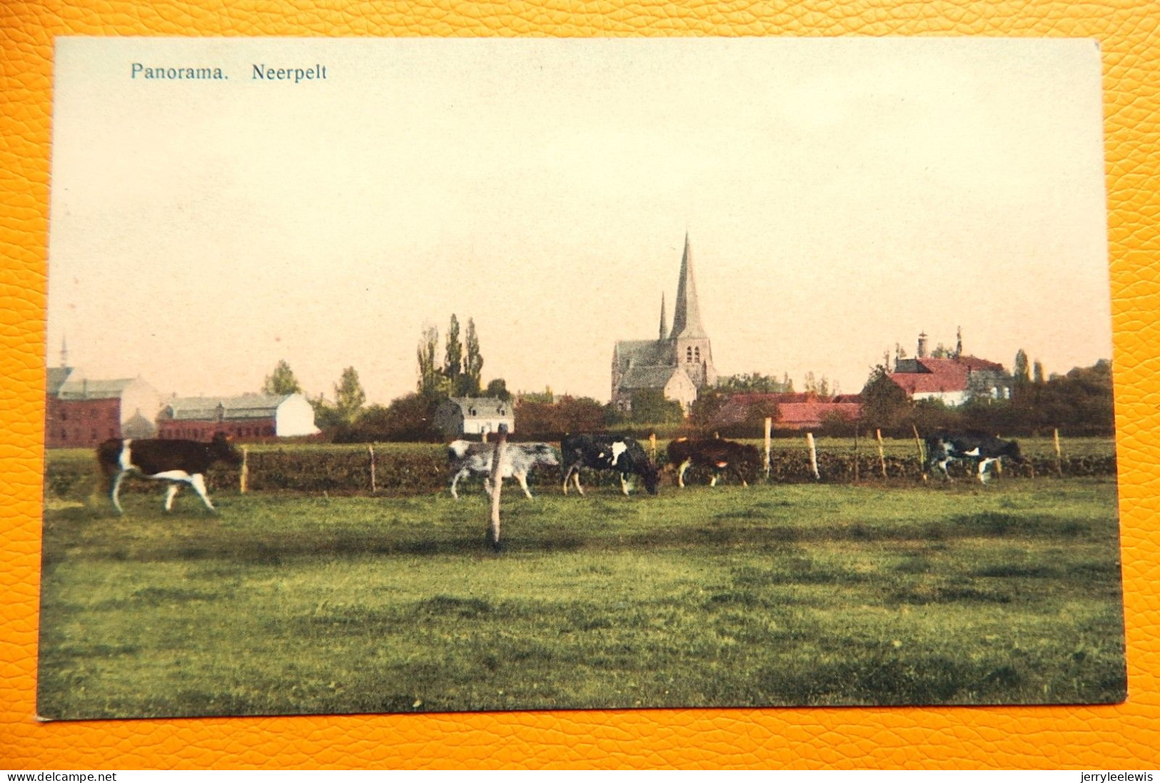 NEERPELT  - Panorama - Neerpelt