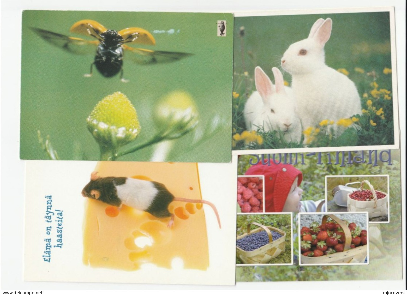 4 Diff FINLAND Postcards To GB Fruit Rabbit Mouse Insect Postcard Flower Tree Stamps Cover - Covers & Documents