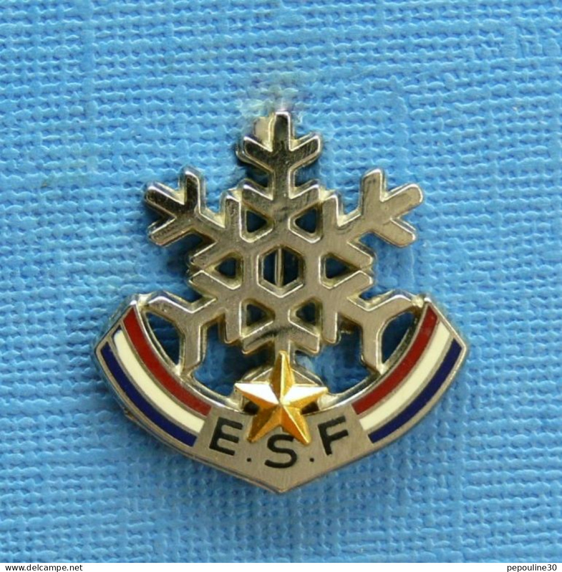 1 BROCHE /  ** E.S.F. / ÉCOLE DE SKI FRANÇAIS UNE ÉTOILE ** . (Beraudy-Vaure Ambert) - Wintersport