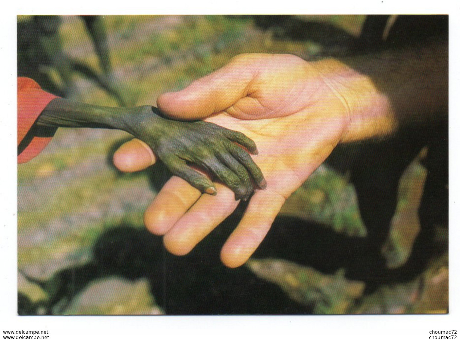 GF Ouganda Uganda 003, Ame Cards MW11, Priest Of The Verona Fathers Holds The Hand Of A Starving Karamojong Boy 1980 - Oeganda