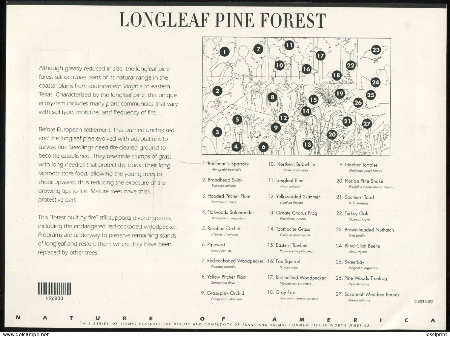 United States:USA:Unused Stamps Sheet Longleaf Pine Forest, Flowers, Animals, Birds, Frog, Turtle, Fox, Snake, 2002, MNH - Nuevos