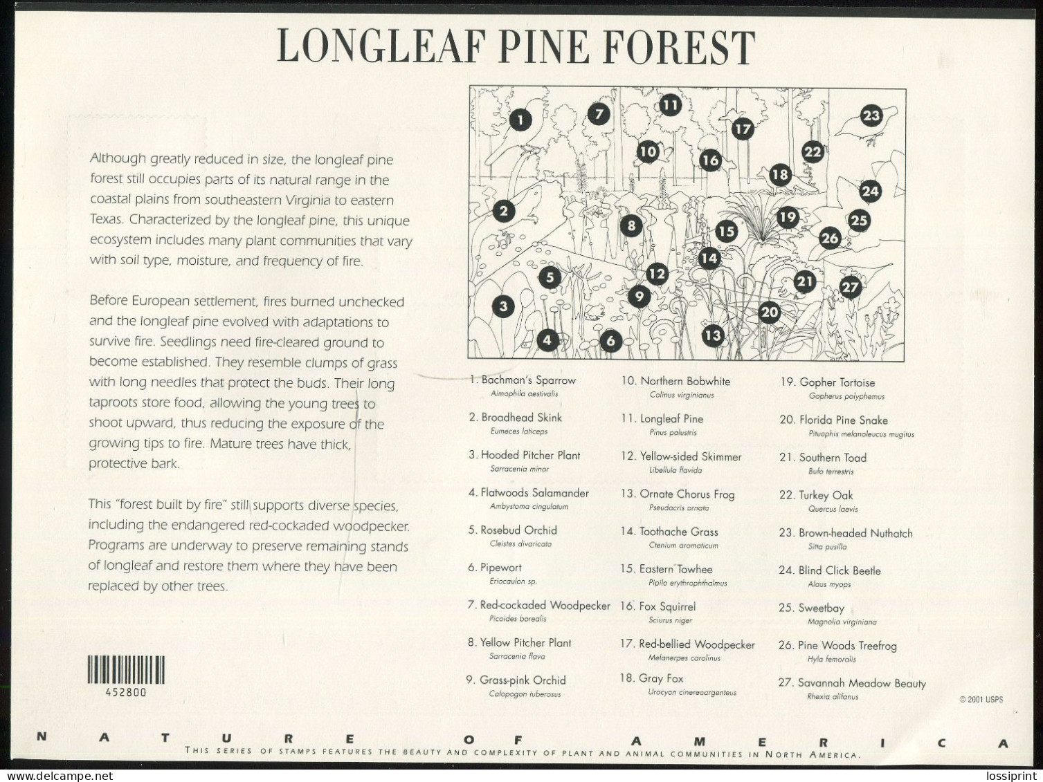 United States:USA:Unused Stamps Sheet Longleaf Pine Forest, Flowers, Animals, Birds, Frog, Turtle, Fox, Snake, 2002, MNH - Neufs