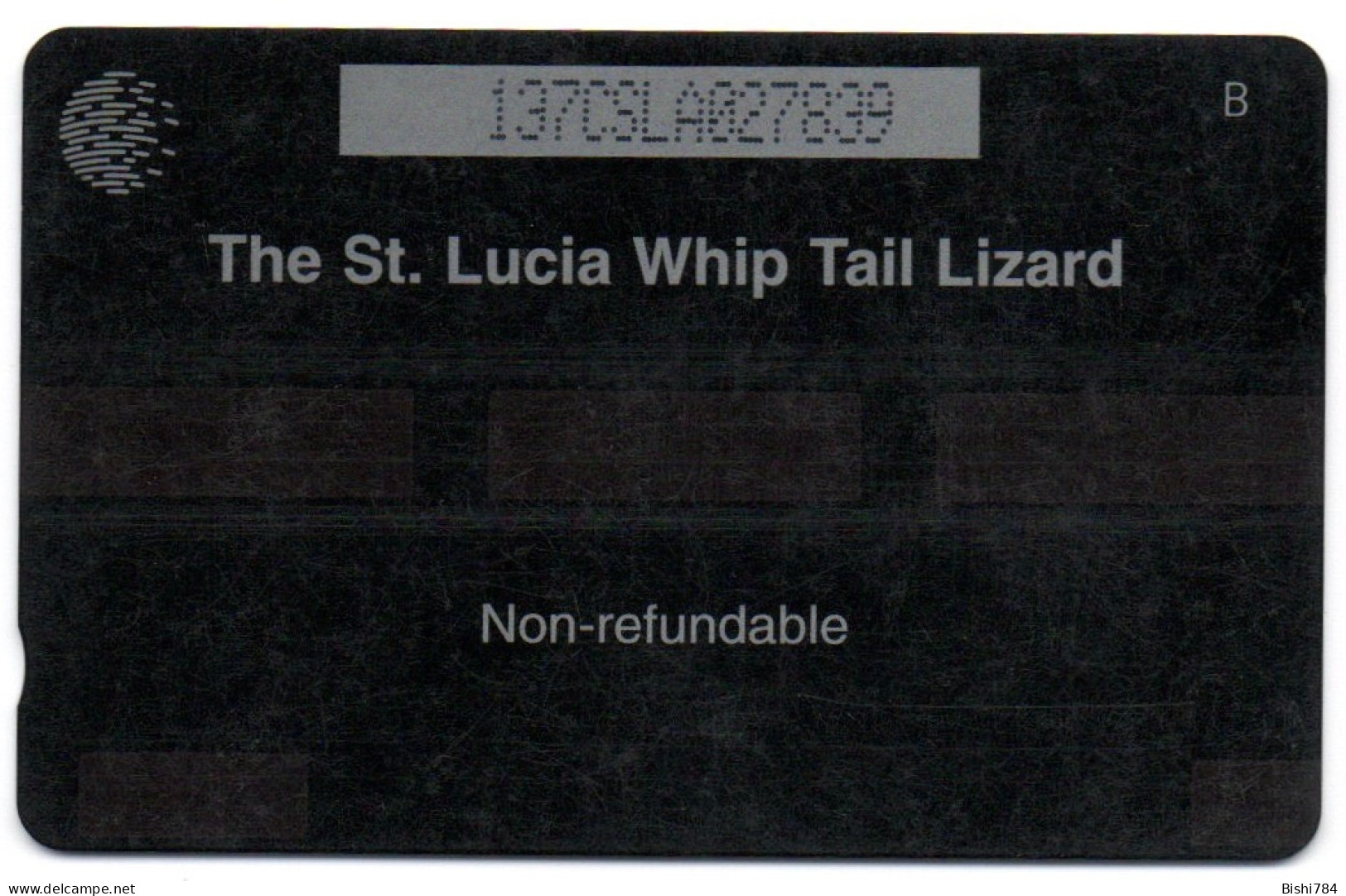 St. Lucia - WhipTail Lizard - 137CSLA - St. Lucia