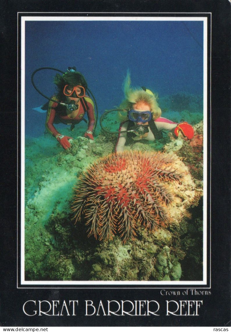 CPM - P - AUSTRALIE - NORTH QUEENSLAND - THE GREAT BARRIER REEF - CROWN OF THORNS - Sonstige & Ohne Zuordnung