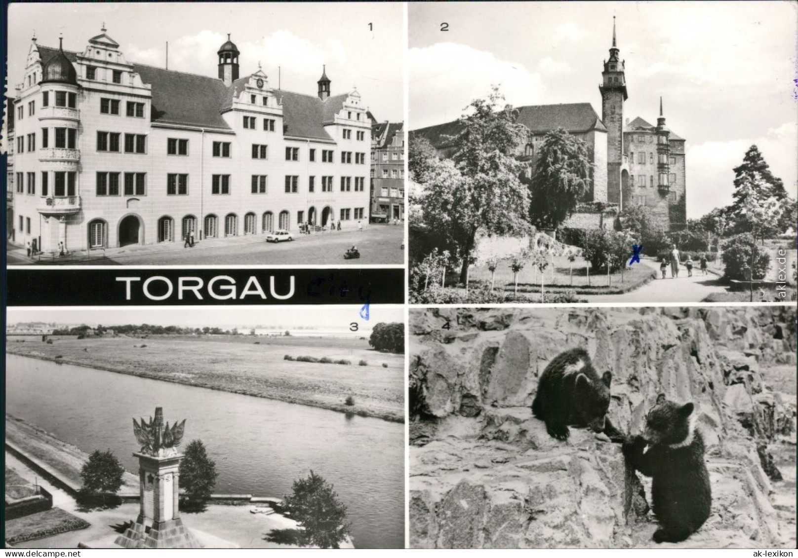 Torgau   Hartenfels Denkmal Der Begegnung An Der Elbe 4 Bärenfreigehege 1979 - Torgau