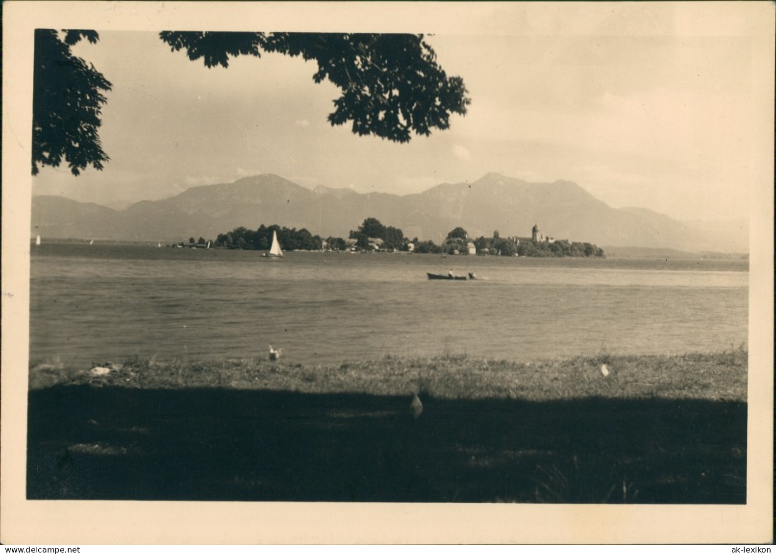 Ansichtskarte Chiemsee Fraueninsel - Chiemsee Panorama-Ansicht 1959 - Chiemgauer Alpen