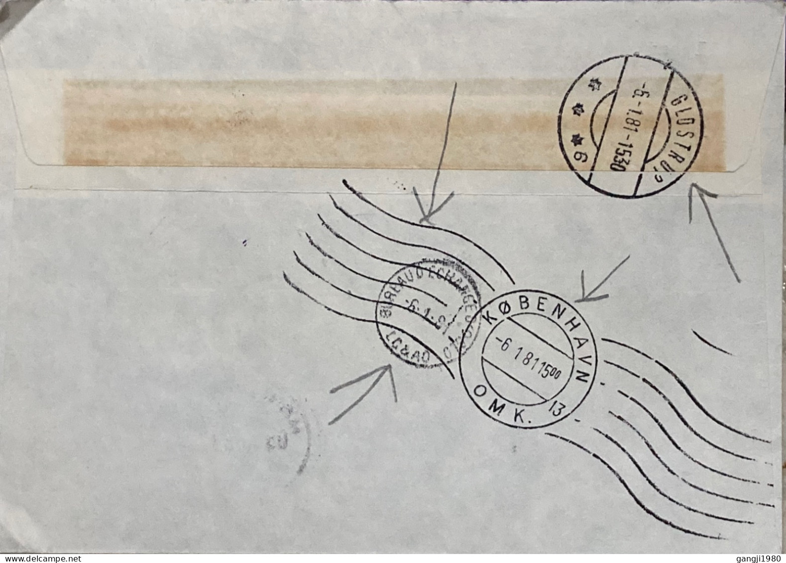 NORWAY TO DENMARK COVER USED 1981, EXPRESS LABEL, ADVERTISING, GLASSHJORNET, KING & PAINTING  STAMP, GLOSTRUP, SKIEN, CO - Briefe U. Dokumente