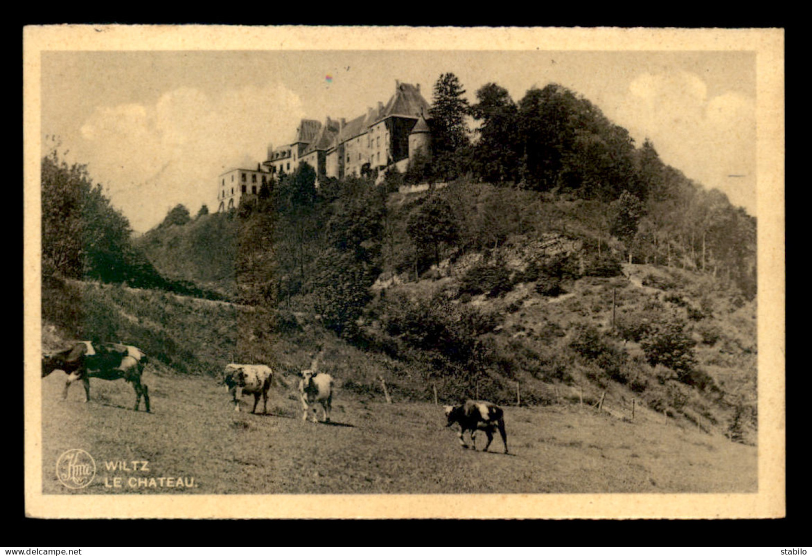 LUXEMBOURG - WILTZ - LE CHATEAU - VACHES - Wiltz