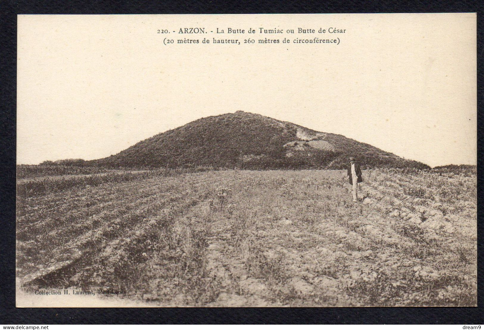 56 ARZON - La Butte De Tumiac Ou Butte De César - Arzon