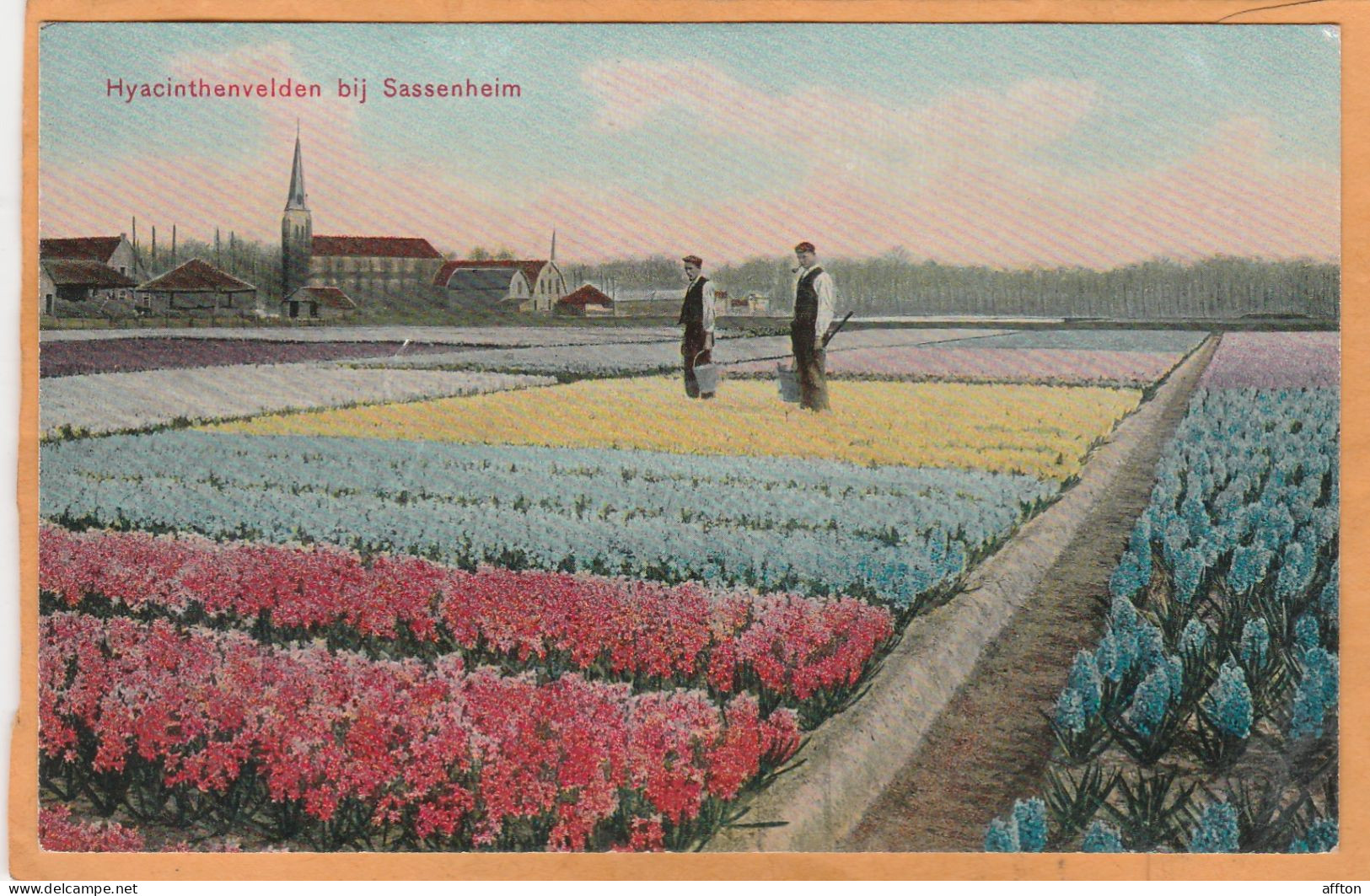 Sassenheim Netherlands 1908 Postcard - Sassenheim