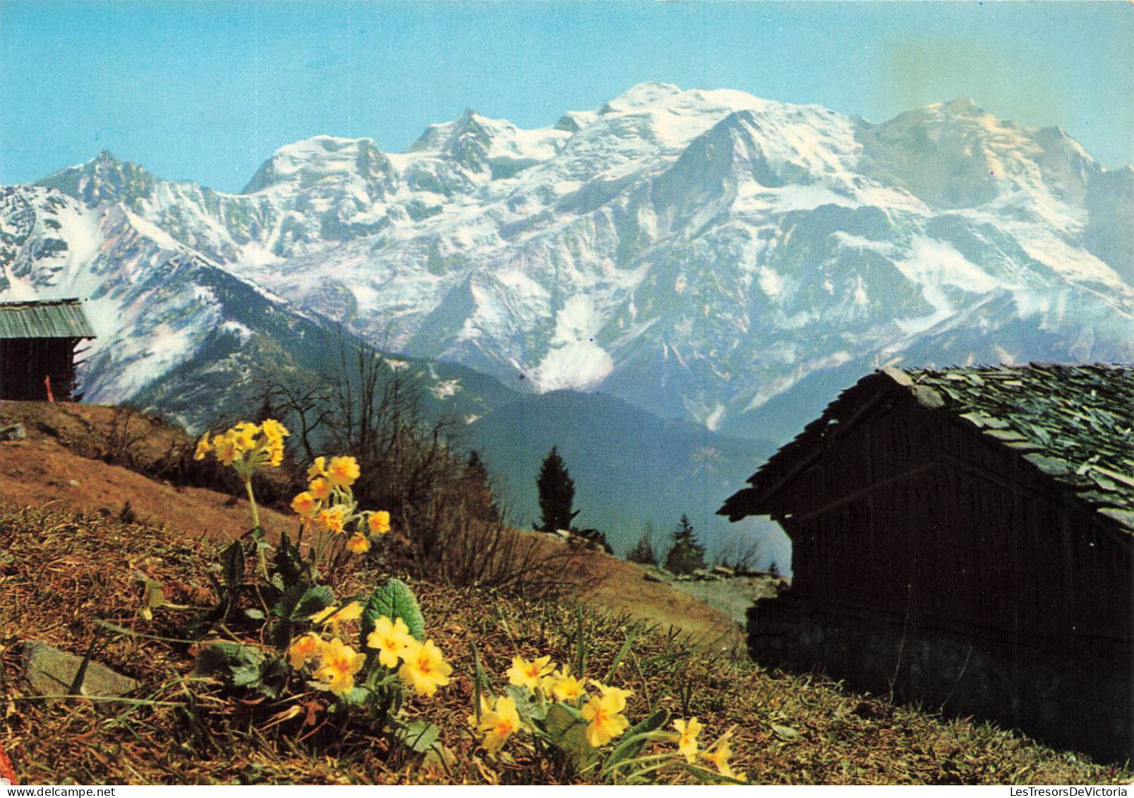 FRANCE - Au Pays Du Mont Blanc - Que De Poésie Et De Contrastes à Chaque Pas - Massif Du Mont Blanc - Carte Postale - Faucigny