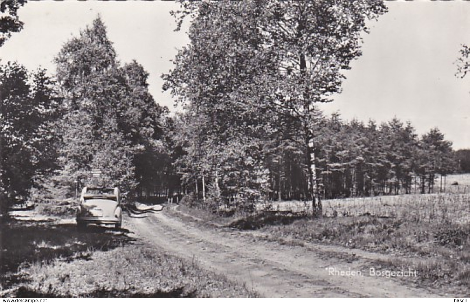 487130Rheden, Bosgezicht Zie Auto. (FOTOKAART)  - Rheden