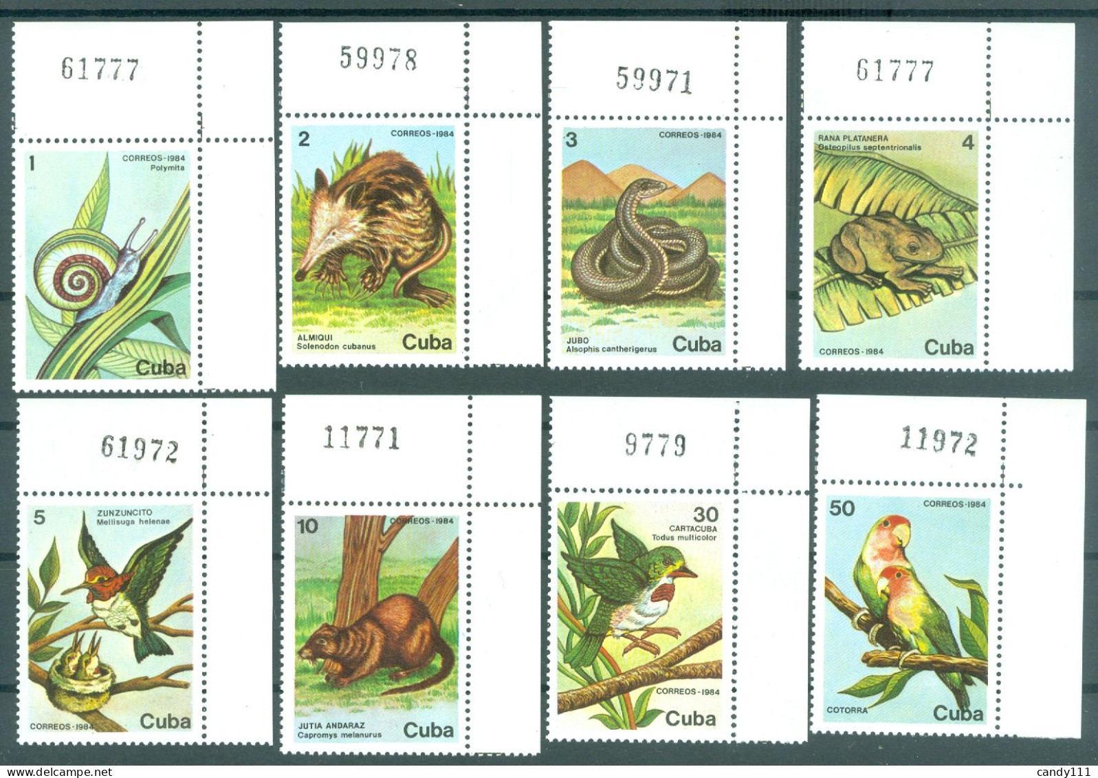 1984 Protected Fauna,Monk Parakeet,emerald-eyed Tree Frog,snail/Caribbean2886MNH - Schlangen